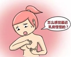 �鷿�������ܳ�ʲô��