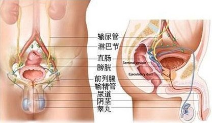 ǰ����ʹ�ęz��