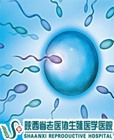 運動過度會使精液質量下降是真的嗎?