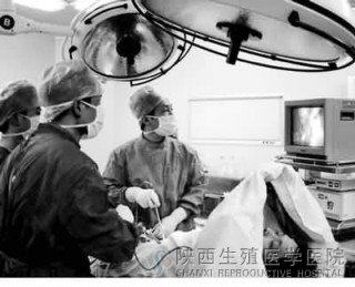 ǰ�����ו�Ӱ�������