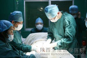 ����֪����������Ʋ�ʿ����Ժ�W�g���������gչʾ