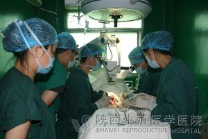 ǧ���������g�҃����������g