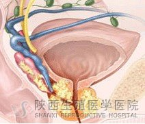 ���V��������ǰ��������ô�Ӳ���