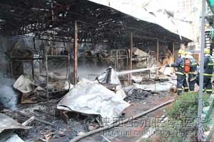 �����T���Q�V�����