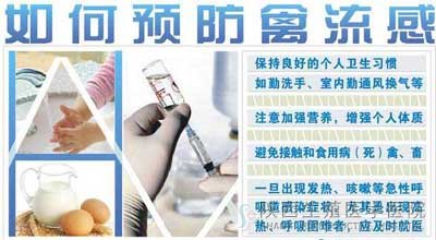 �����ֳ�t�W�tԺ�A��H7N9